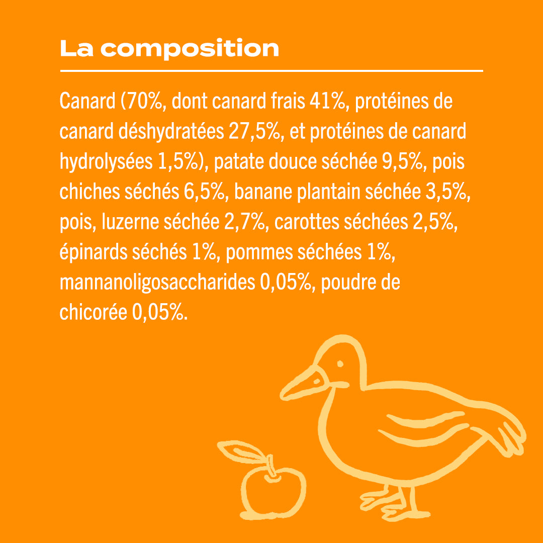 CANARD, POMME, CAROTTE