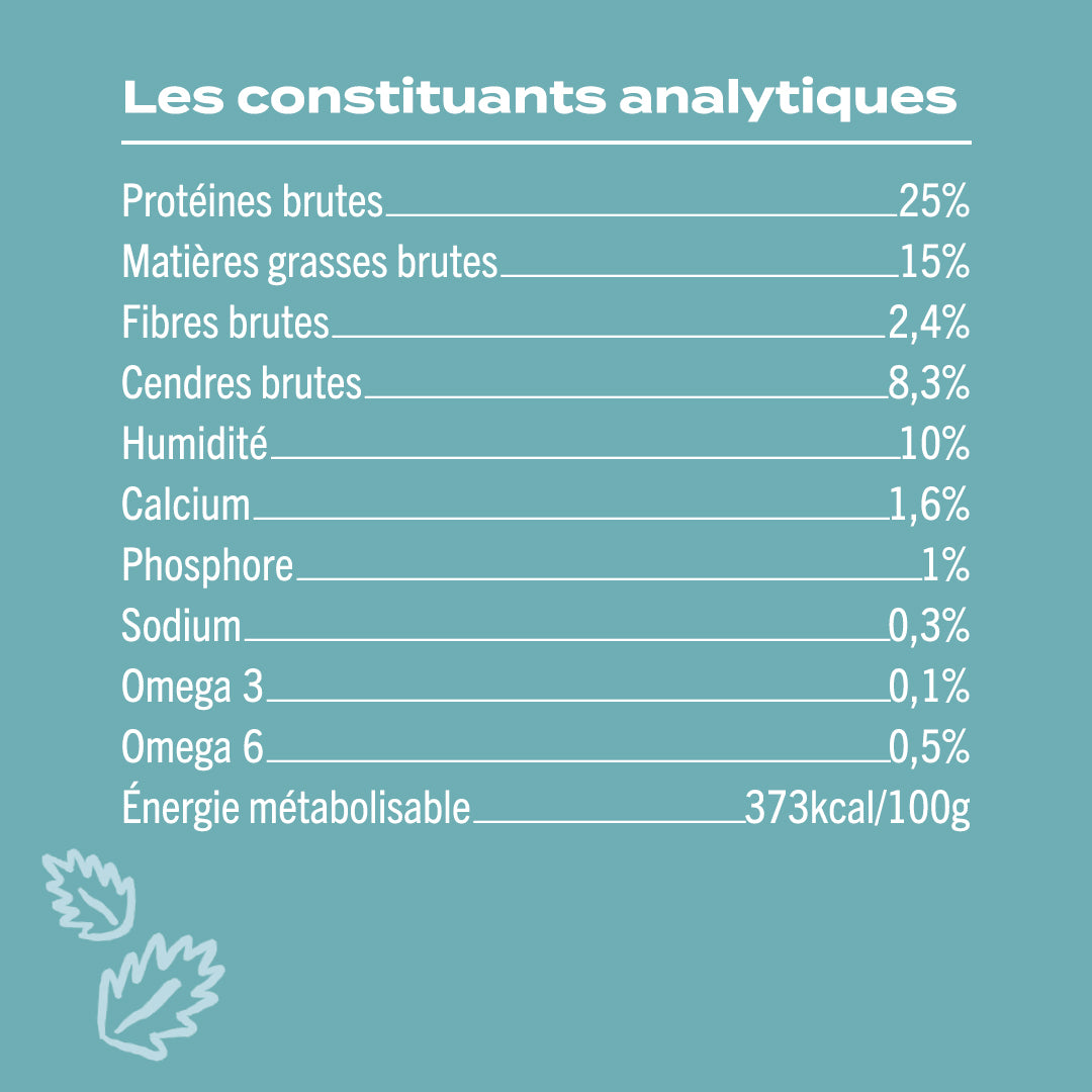 AGNEAU, PATATE DOUCE, MENTHE