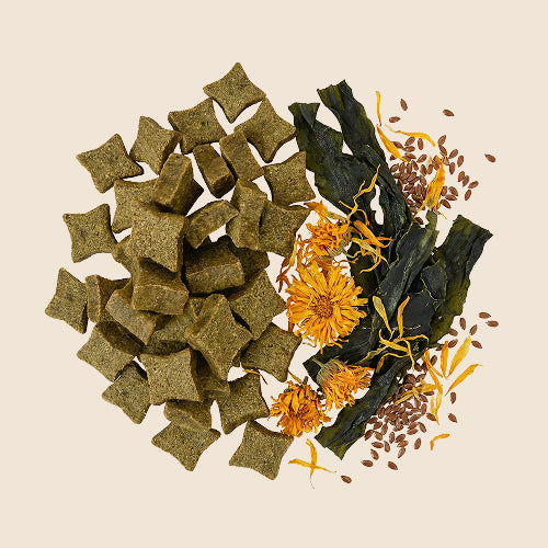 Franklin Alimentation premium pour chien et chat. Choisissez la meilleure nourriture pour votre animal : Croquettes sans céréales riches en protéines et faibles en glucides. Découvrez notre large gamme de pâtées et de friandises riches en viande !