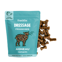 Dressage agneau