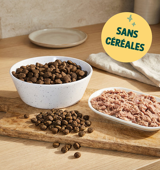 PACK DÉCOUVERTE CHIOT