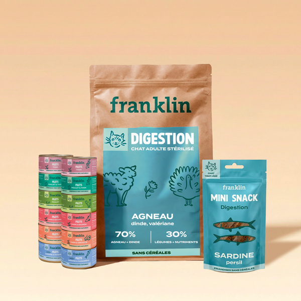 pack-digestion-chat