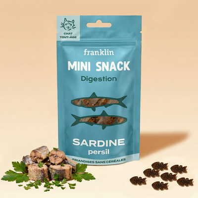 mini-snack-digestion