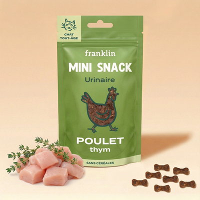 mini-snack-urinaire