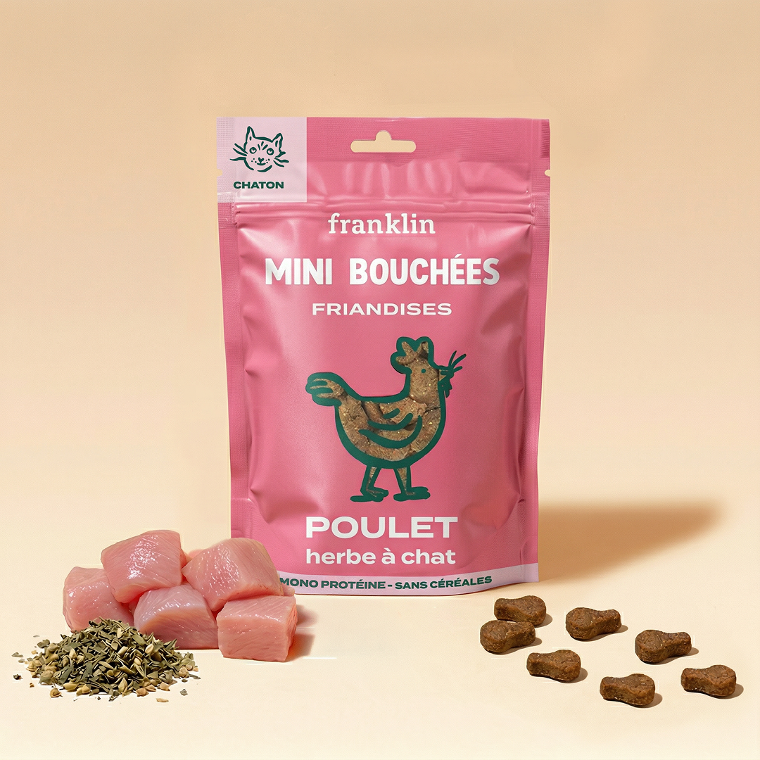 FRIANDISES CHATON