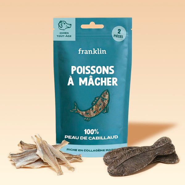 POISSONS À MÂCHER