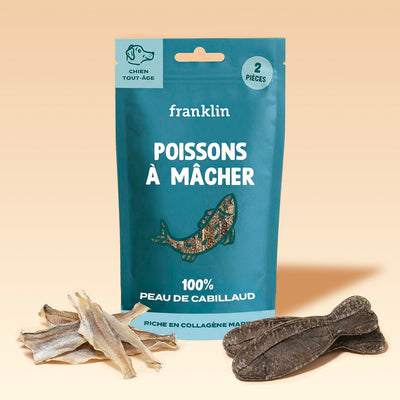 poissons-a-macher