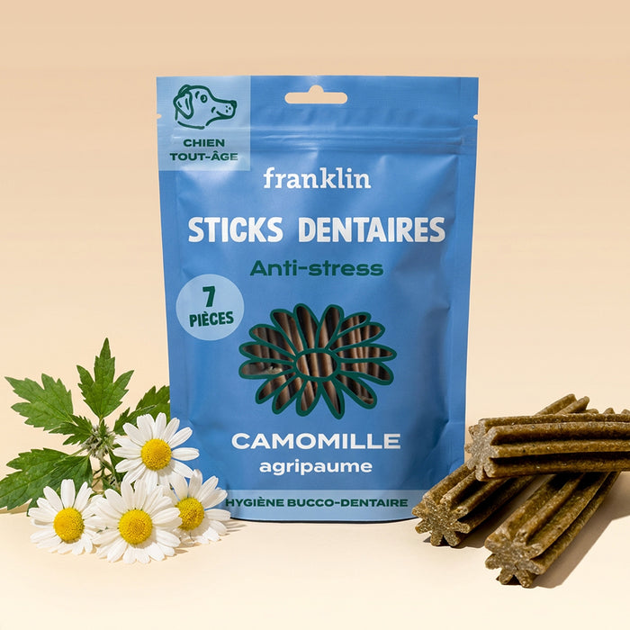 STICKS ANTI-STRESS (CADEAU)
