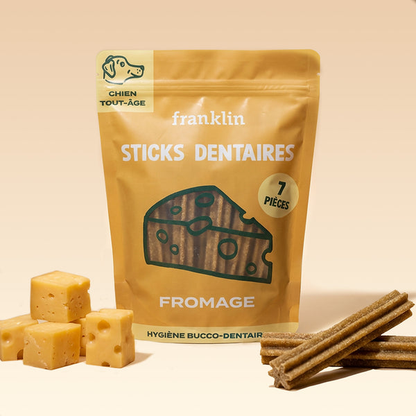 STICKS AU FROMAGE