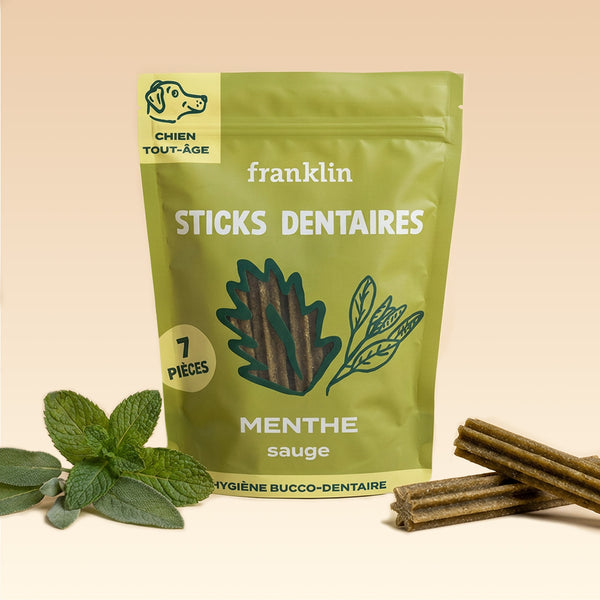 STICKS MENTHE, SAUGE
