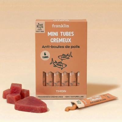 mini-tubes-cremeux-thon