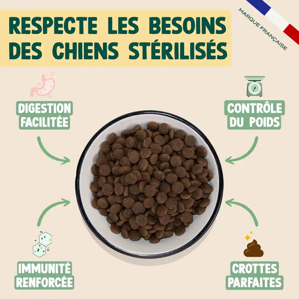 poulet-courge-myrtille