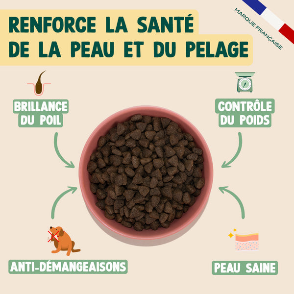 saumon-truite-persil