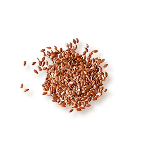 Franklin Alimentation premium pour chien et chat. Choisissez la meilleure nourriture pour votre animal : Croquettes sans céréales riches en protéines et faibles en glucides. Découvrez notre large gamme de pâtées et de friandises riches en viande !