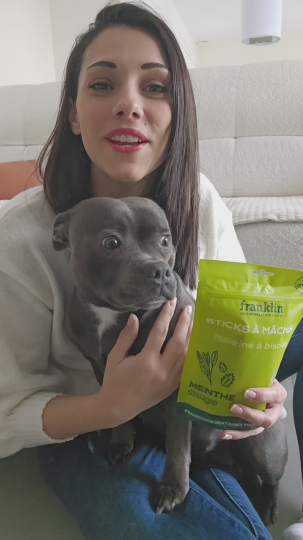 pack-sticks-dentaires