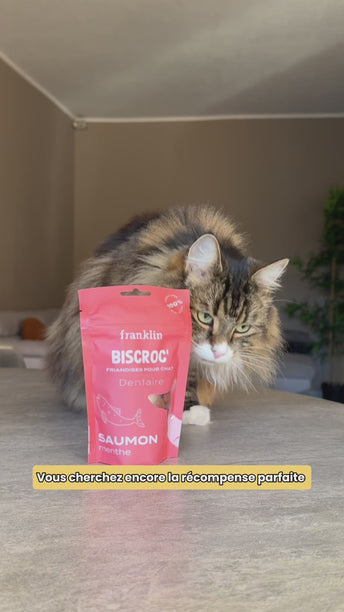 DUO BISCROC'