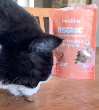 DUO BISCROC'