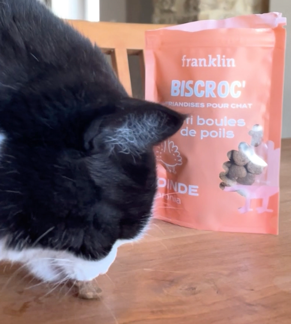 biscroc-39-anti-boules-de-poils