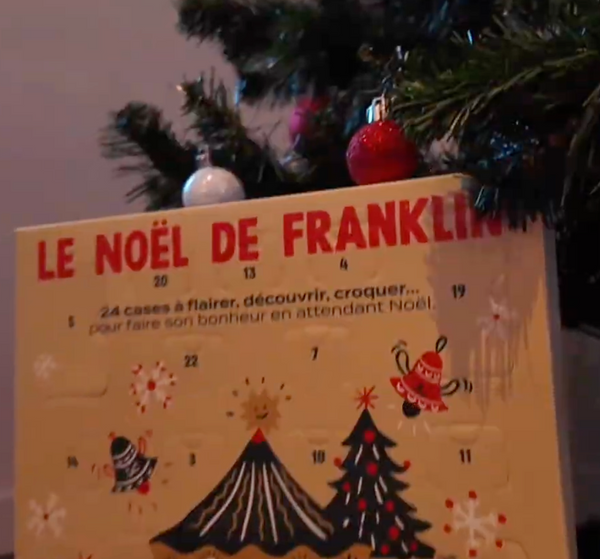 Calendrier De L'Avent 2025 Teckel De Noël - Calendrier Unique Avec Chien Mignon