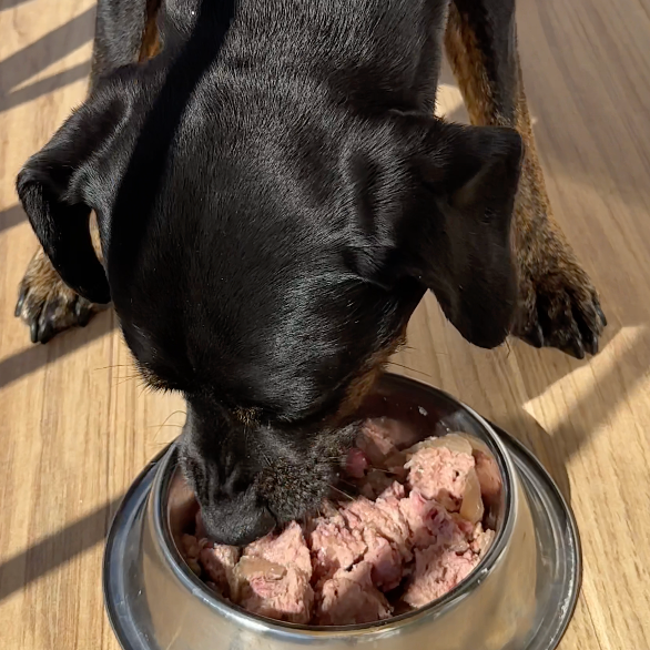 poulet-framboise-origan