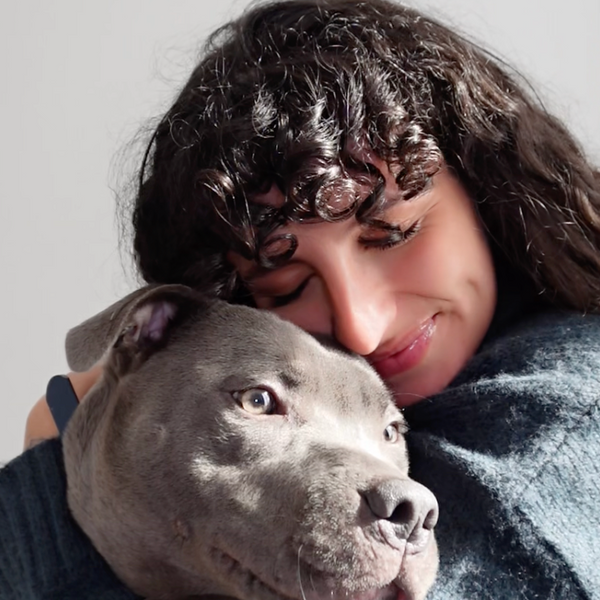 poulet-saumon-fenouil