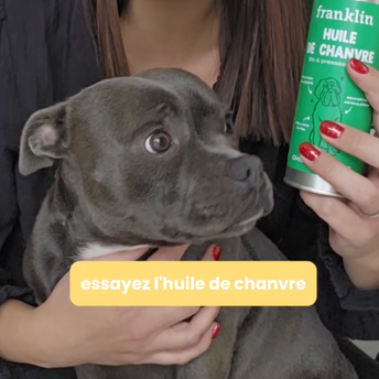 HUILE DE CHANVRE BIO