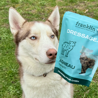 PACK CHIEN STÉRILISÉ