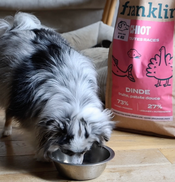 dinde-truite-patate-douce