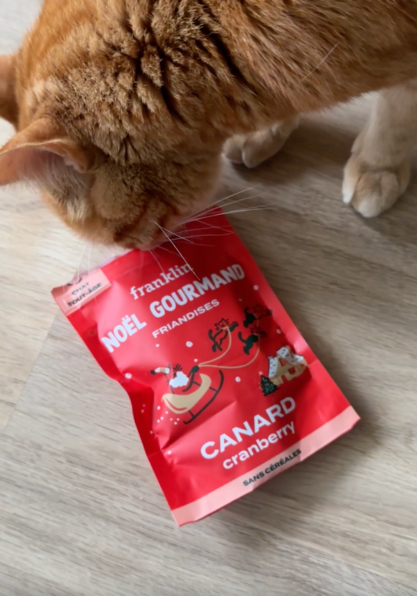 noel-gourmand-canard-cranberry