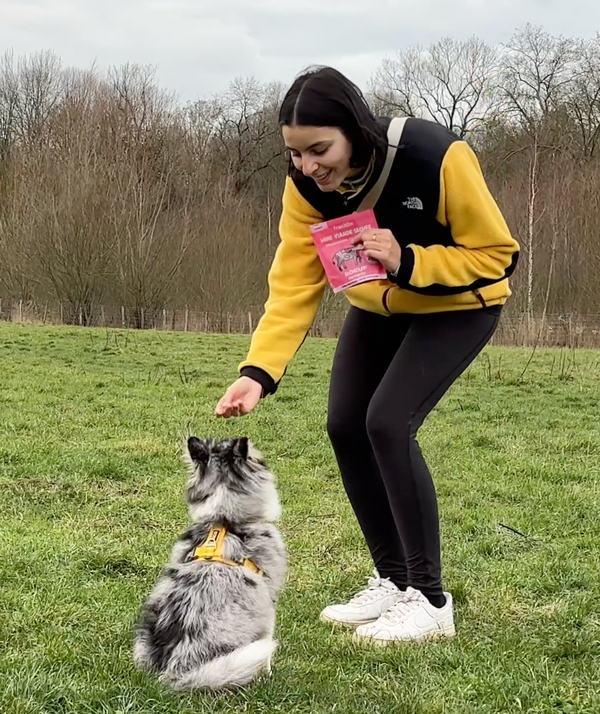 mini-viande-sechee-boeuf-romarin