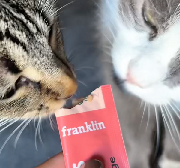 trio-decouverte-mini-tubes-cremeux