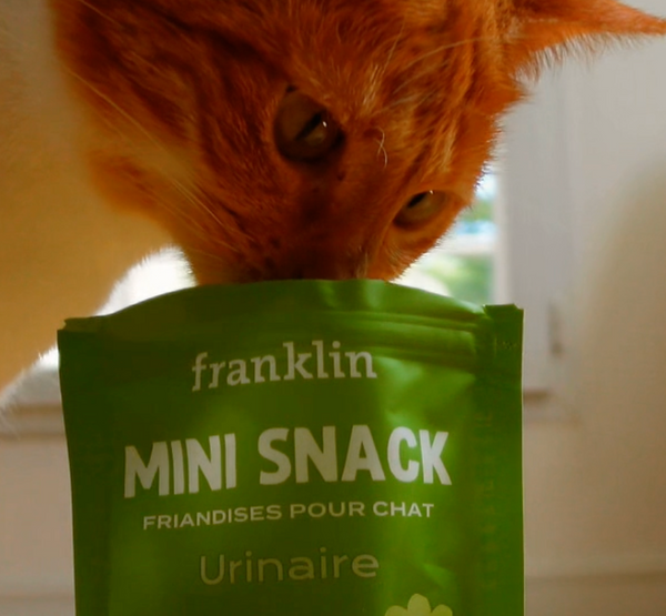 mini-snack-urinaire