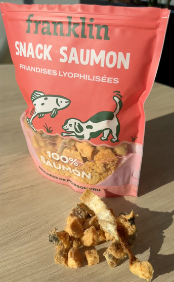 SNACK SAUMON