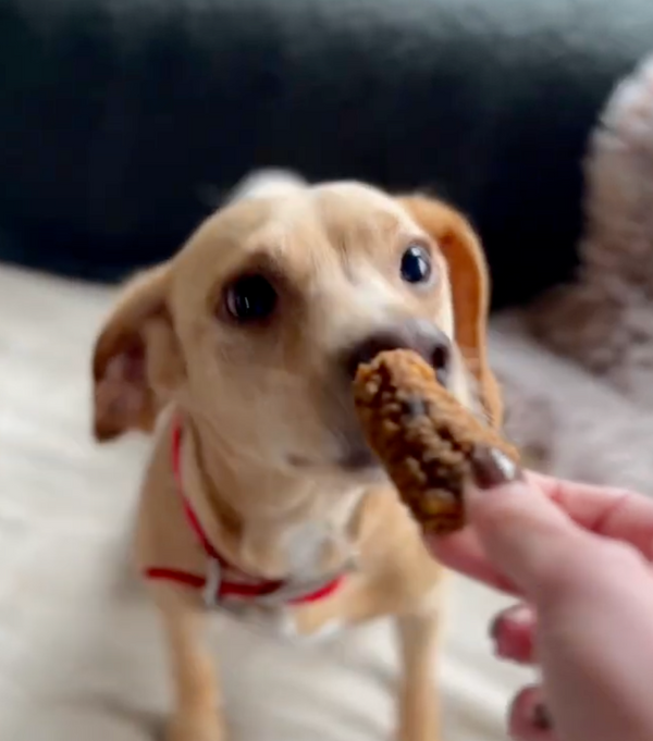 pack-decouverte-viande-sechee