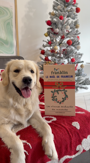 CALENDRIER DE L'AVENT