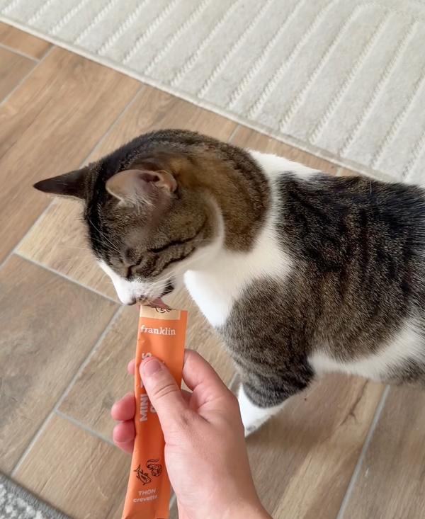 multipack-mini-tubes-poisson