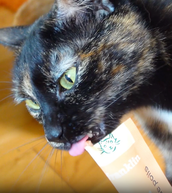 trio-decouverte-mini-tubes-cremeux