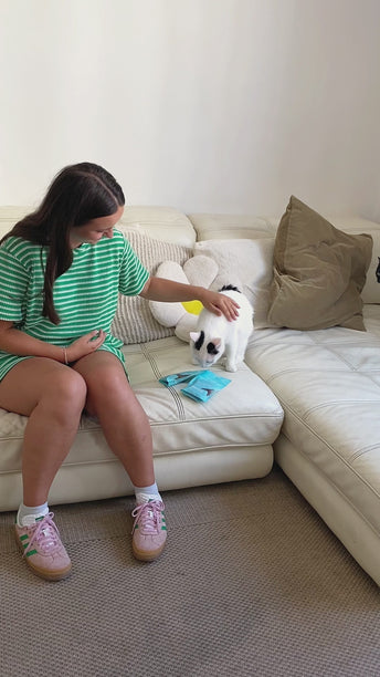 PACK DIGESTION CHAT